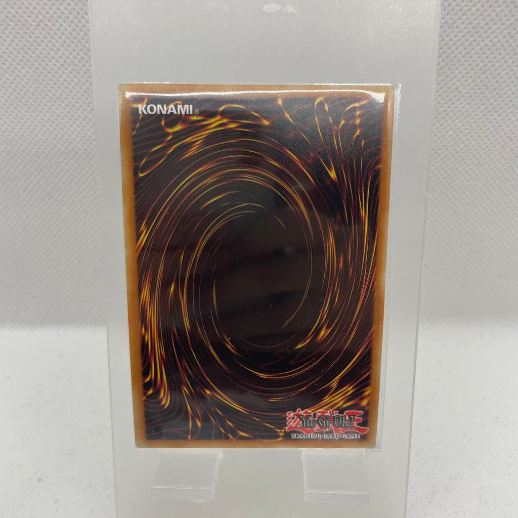 Ultra PRO - 100 Protèges Cartes souples : Fit Side-Load SLEEVES